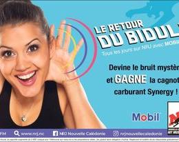 LE BIDULE NRJ